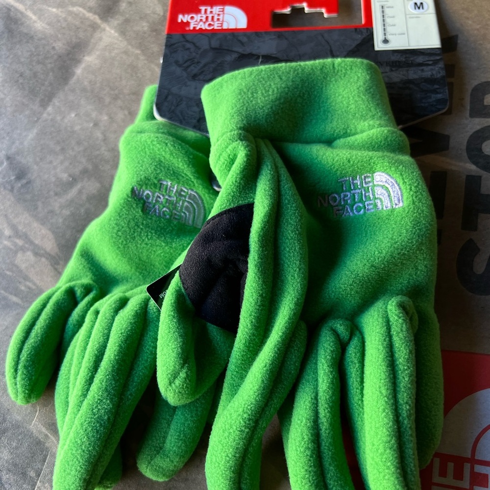 NWT The north Face Men’s Saranac Gloves